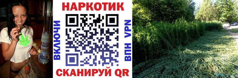 Где купить Петровск АМФ COCAIN Меф кракен как войти Alpha PVP Каннабис