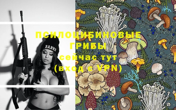 гидропоника Алзамай