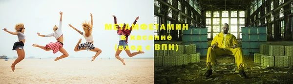 сатива Новозыбков