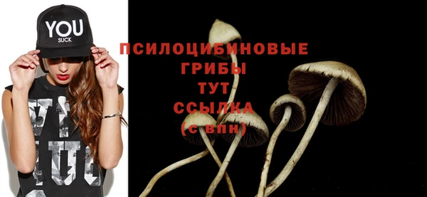 прущий лед Алексеевка