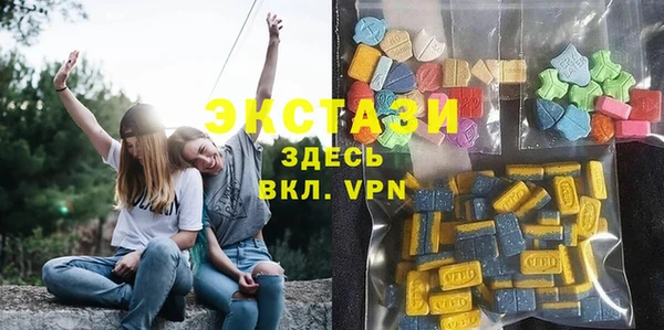 индика Новокубанск